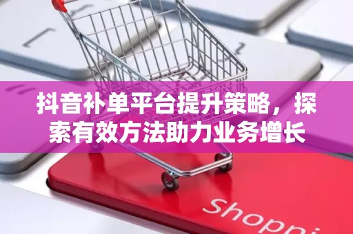 抖音补单平台提升策略，探索有效方法助力业务增长