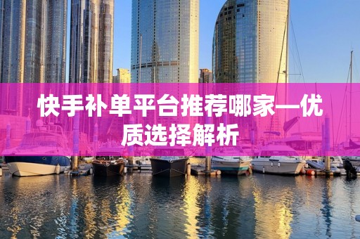 快手补单平台推荐哪家—优质选择解析