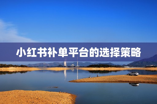 小红书补单平台的选择策略