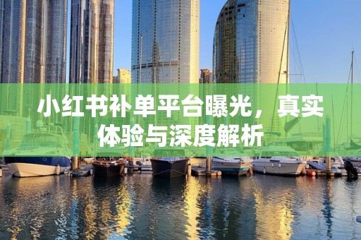 小红书补单平台曝光，真实体验与深度解析