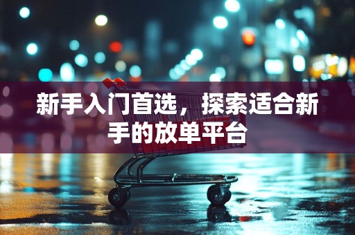 新手入门首选，探索适合新手的放单平台