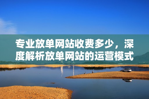 专业放单网站收费多少，深度解析放单网站的运营模式与费用结构