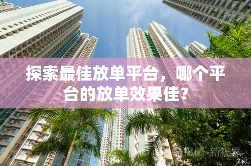 探索最佳放单平台，哪个平台的放单效果佳？