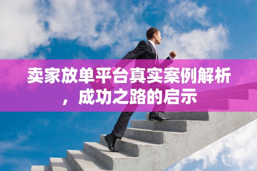 卖家放单平台真实案例解析，成功之路的启示