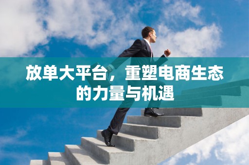 放单大平台，重塑电商生态的力量与机遇