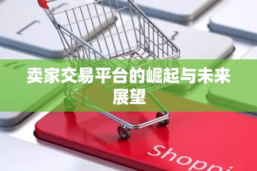 卖家交易平台的崛起与未来展望
