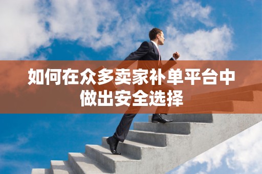 如何在众多卖家补单平台中做出安全选择