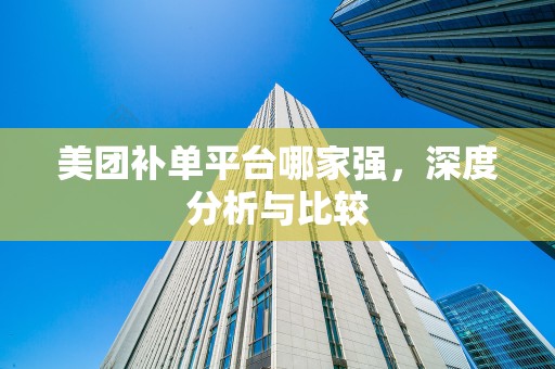 美团补单平台哪家强，深度分析与比较