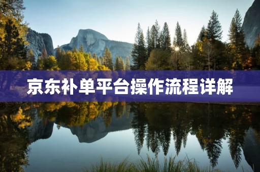 京东补单平台操作流程详解