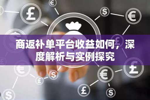 商返补单平台收益如何，深度解析与实例探究