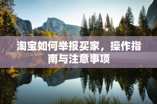淘宝如何举报买家，操作指南与注意事项