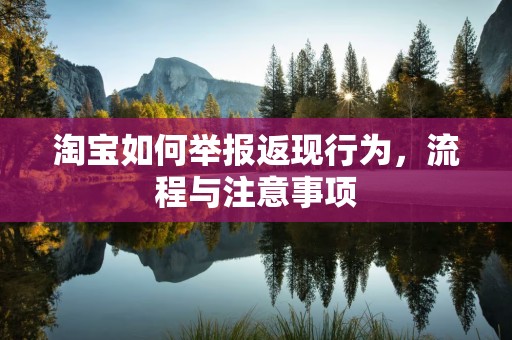淘宝如何举报返现行为，流程与注意事项