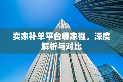卖家补单平台哪家强，深度解析与对比