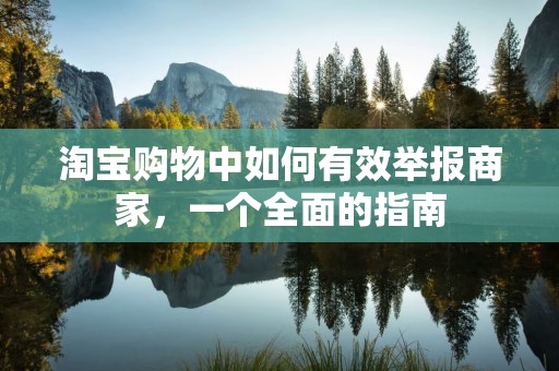 淘宝购物中如何有效举报商家，一个全面的指南