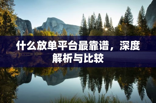 什么放单平台最靠谱，深度解析与比较