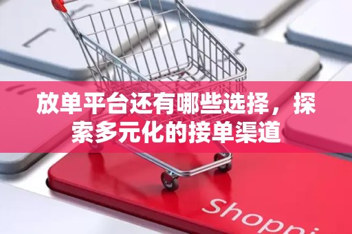放单平台还有哪些选择，探索多元化的接单渠道