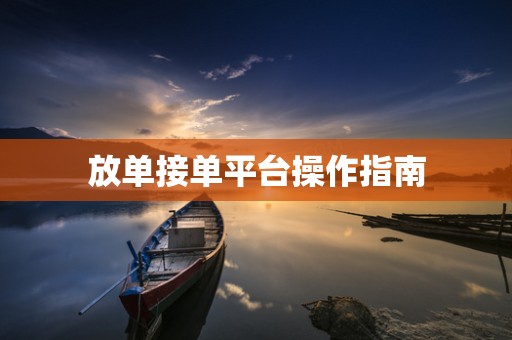 放单接单平台操作指南
