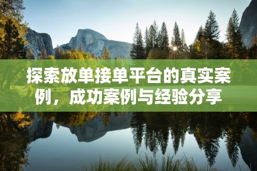 探索放单接单平台的真实案例，成功案例与经验分享