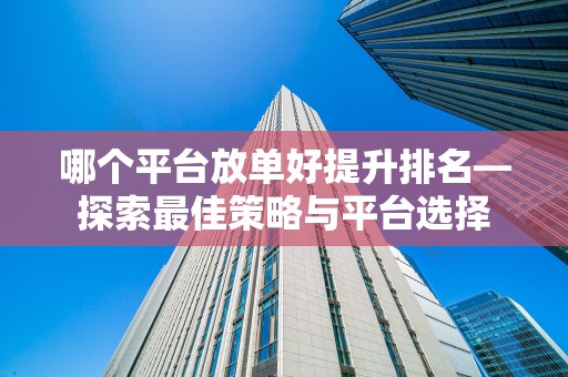 哪个平台放单好提升排名—探索最佳策略与平台选择