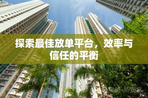 探索最佳放单平台，效率与信任的平衡