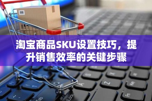 淘宝商品SKU设置技巧，提升销售效率的关键步骤