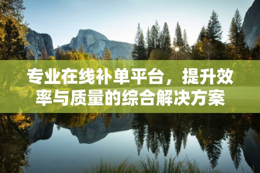 专业在线补单平台，提升效率与质量的综合解决方案