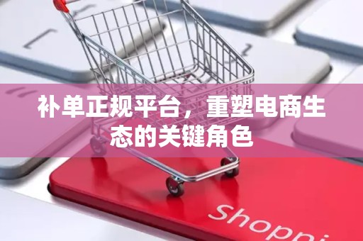 补单正规平台，重塑电商生态的关键角色