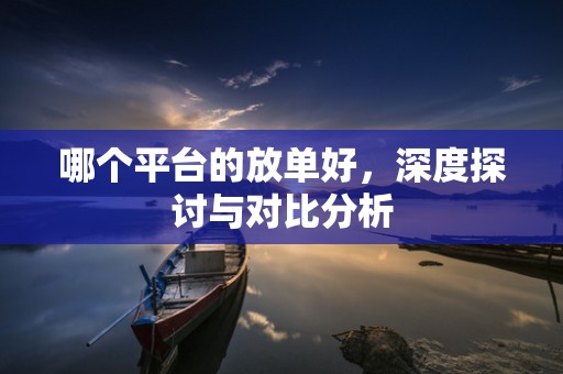 哪个平台的放单好，深度探讨与对比分析