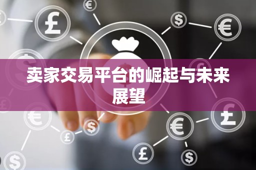 卖家交易平台的崛起与未来展望