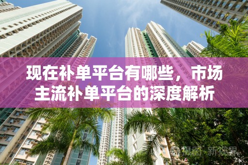 现在补单平台有哪些，市场主流补单平台的深度解析