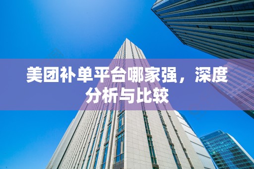 美团补单平台哪家强，深度分析与比较