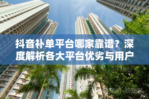 抖音补单平台哪家靠谱？深度解析各大平台优劣与用户体验