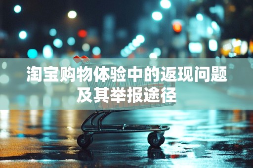 淘宝购物体验中的返现问题及其举报途径