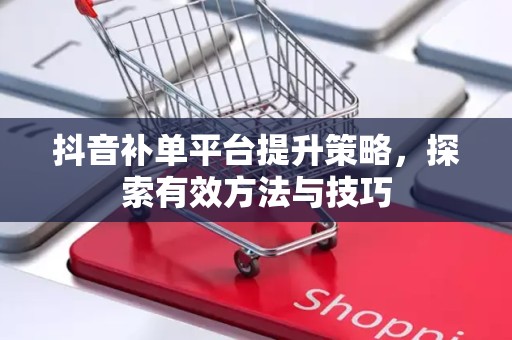 抖音补单平台提升策略，探索有效方法与技巧
