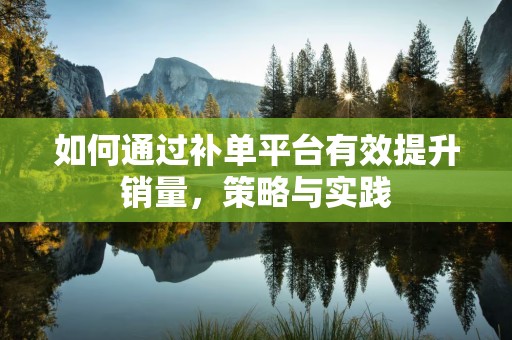 如何通过补单平台有效提升销量，策略与实践