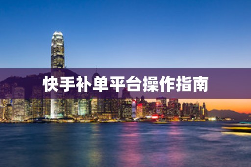 快手补单平台操作指南