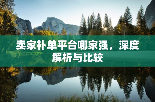 卖家补单平台哪家强，深度解析与比较