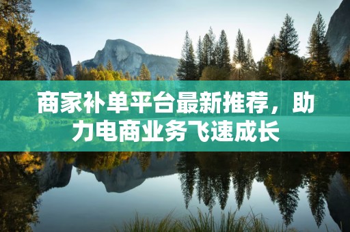 商家补单平台最新推荐，助力电商业务飞速成长
