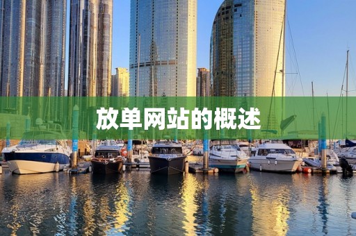 放单网站的概述