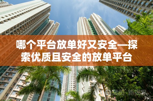 哪个平台放单好又安全—探索优质且安全的放单平台