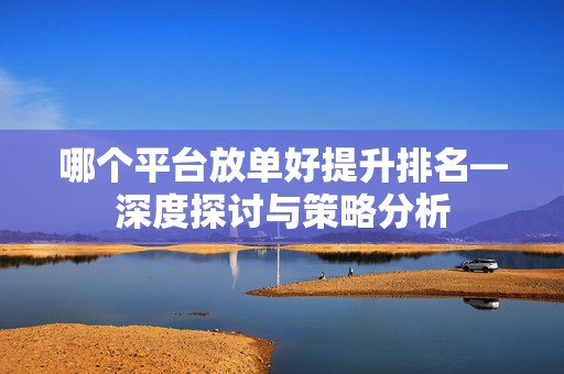 哪个平台放单好提升排名—深度探讨与策略分析