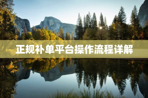 正规补单平台操作流程详解