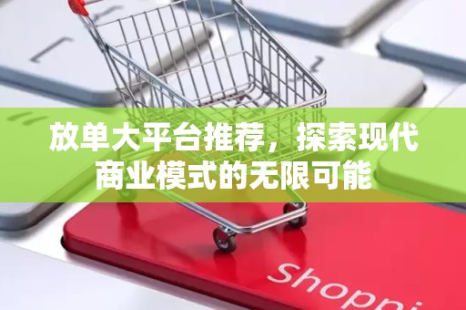 放单大平台推荐，探索现代商业模式的无限可能