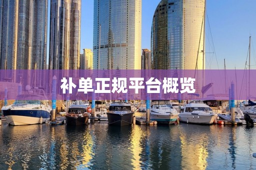 补单正规平台概览
