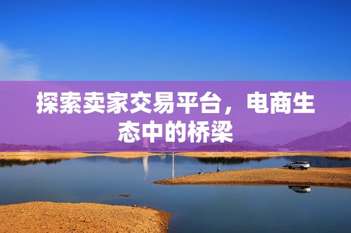 探索卖家交易平台，电商生态中的桥梁