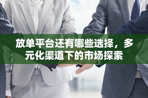 放单平台还有哪些选择，多元化渠道下的市场探索
