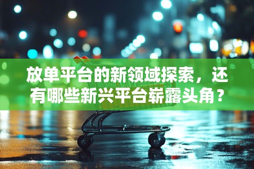 放单平台的新领域探索，还有哪些新兴平台崭露头角？