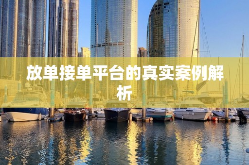 放单接单平台的真实案例解析