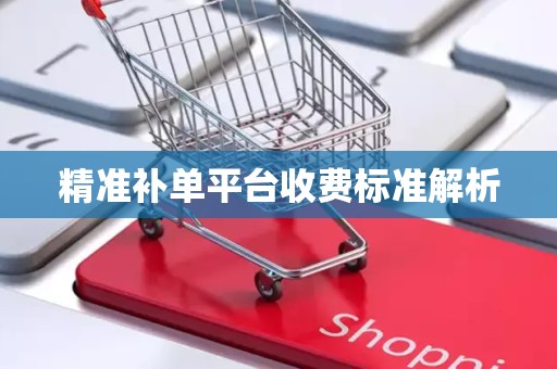 精准补单平台收费标准解析