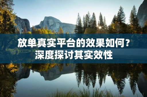 放单真实平台的效果如何？深度探讨其实效性